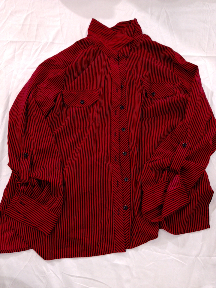 Red Striped Button-Down Shirt