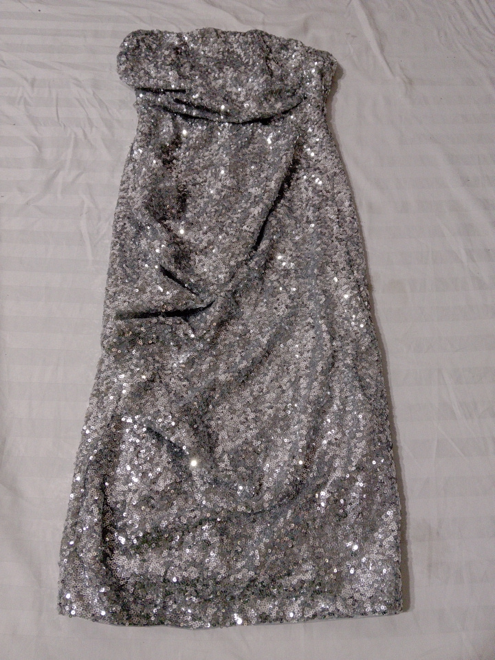 Sequined Strapless Dress