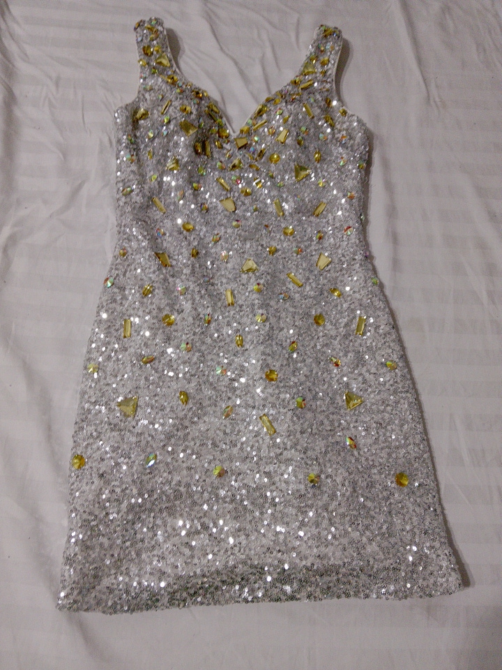 Sequined Silver Dress