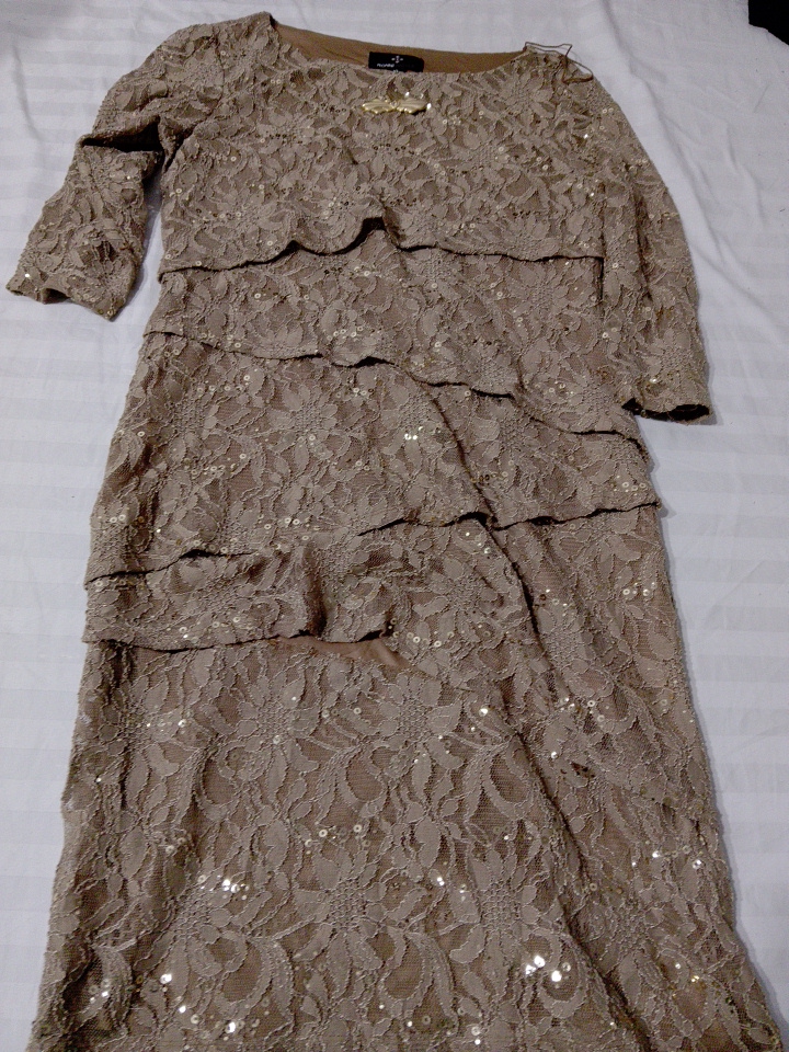 Ronne Nicole Lace Dress