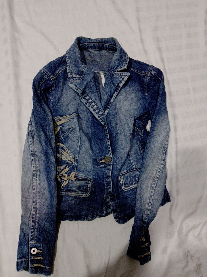 Veste en denim avec des ailes brodées