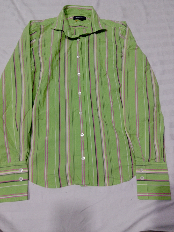 「Lands' End グリーン ストライプ ボタン ダウン シャツ」