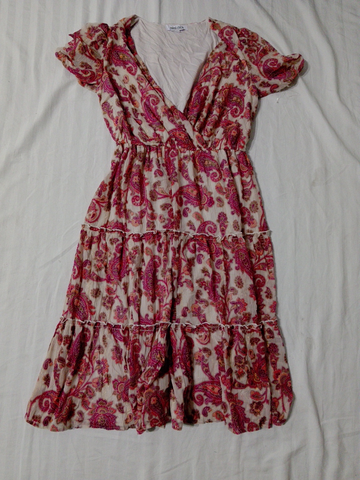Women's Paisley Print Dress
