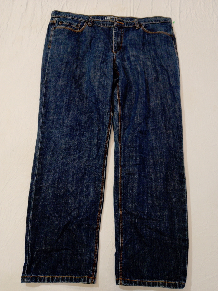 Ann Taylor LOFT Jeans