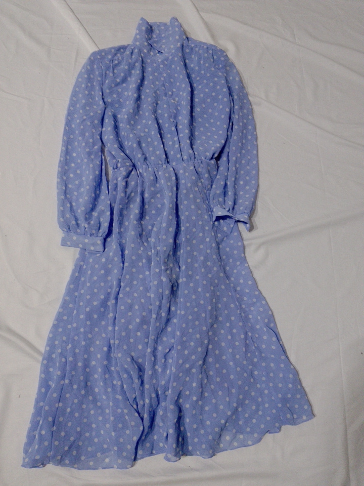 Light Blue Polka Dot Long Sleeve Midi Dress