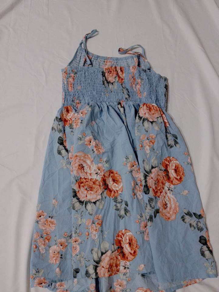 Light Blue Floral Smocked Spaghetti Strap Mini Dre..