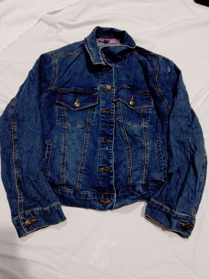 Something Within Blue Denim Jacket