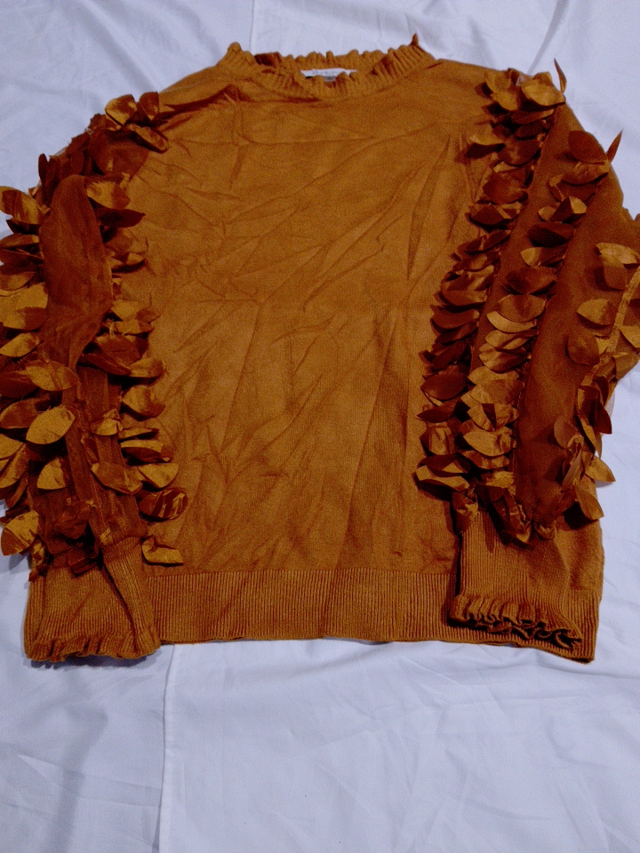 Sissi Milano Rust Ruffled Sleeve Knit Sweater