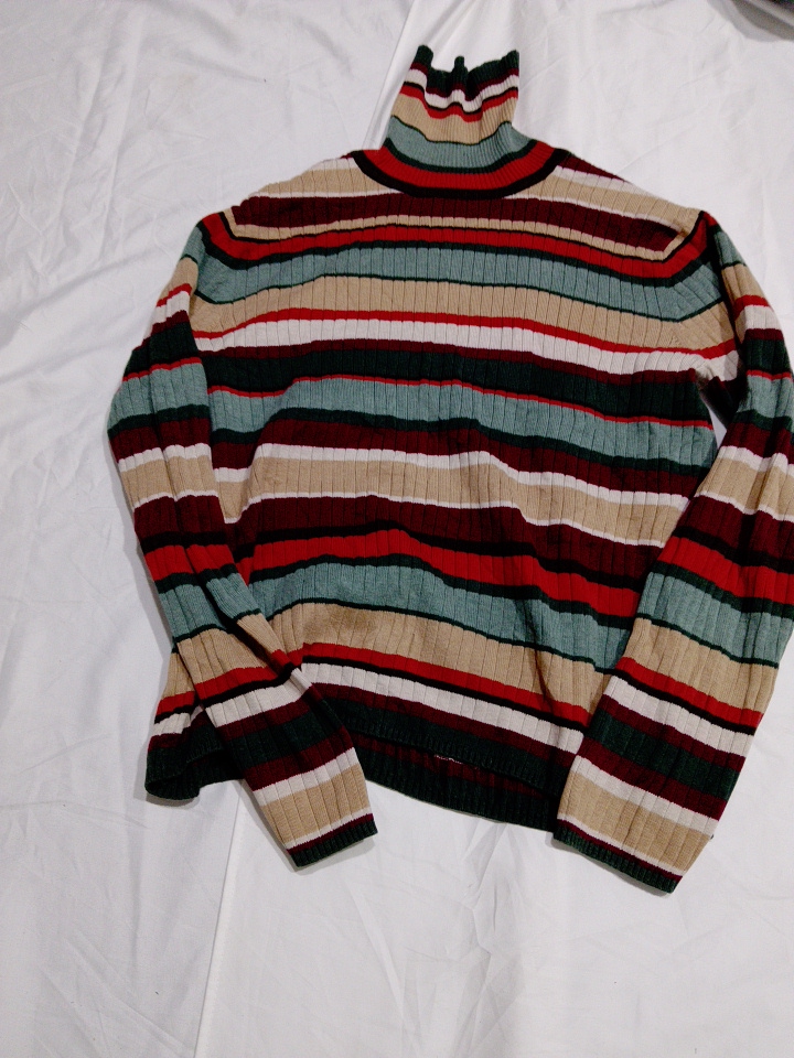 Tall Toots Striped Turtleneck Sweater