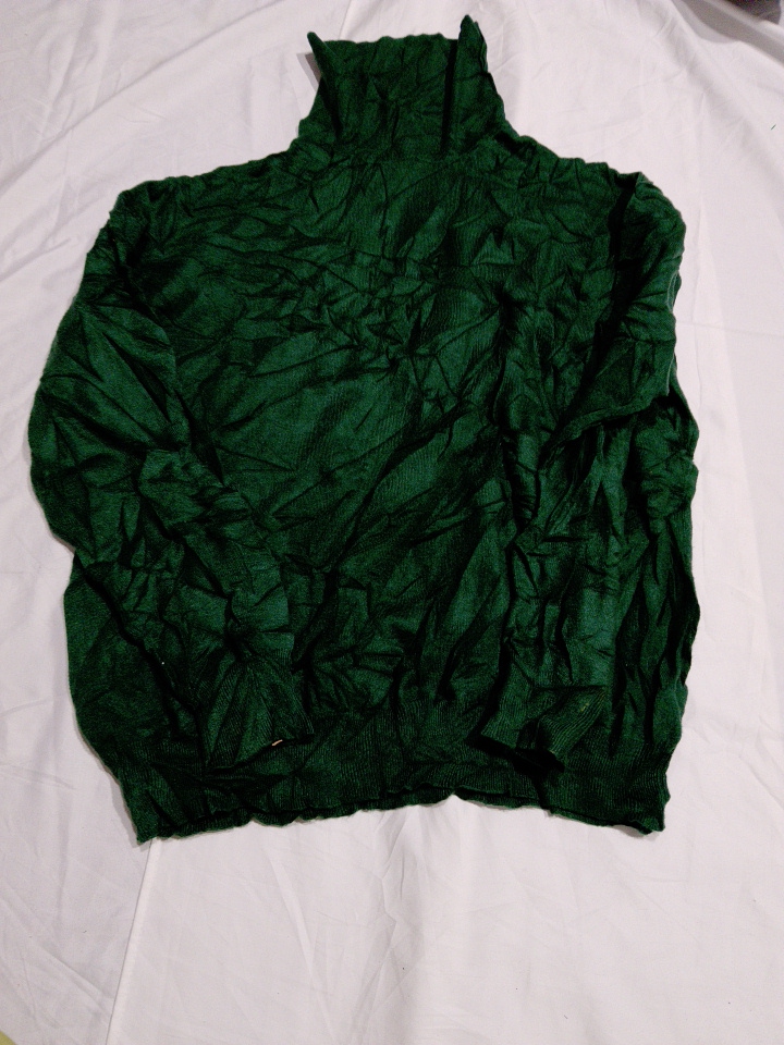 Prexyo Green Turtleneck Knit Top