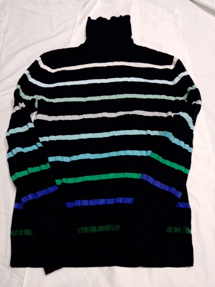 Paisley Striped Turtleneck Sweater