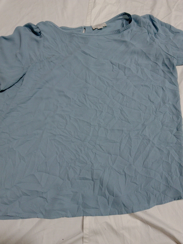 LOFT Blue Ruffle Sleeve Blouse