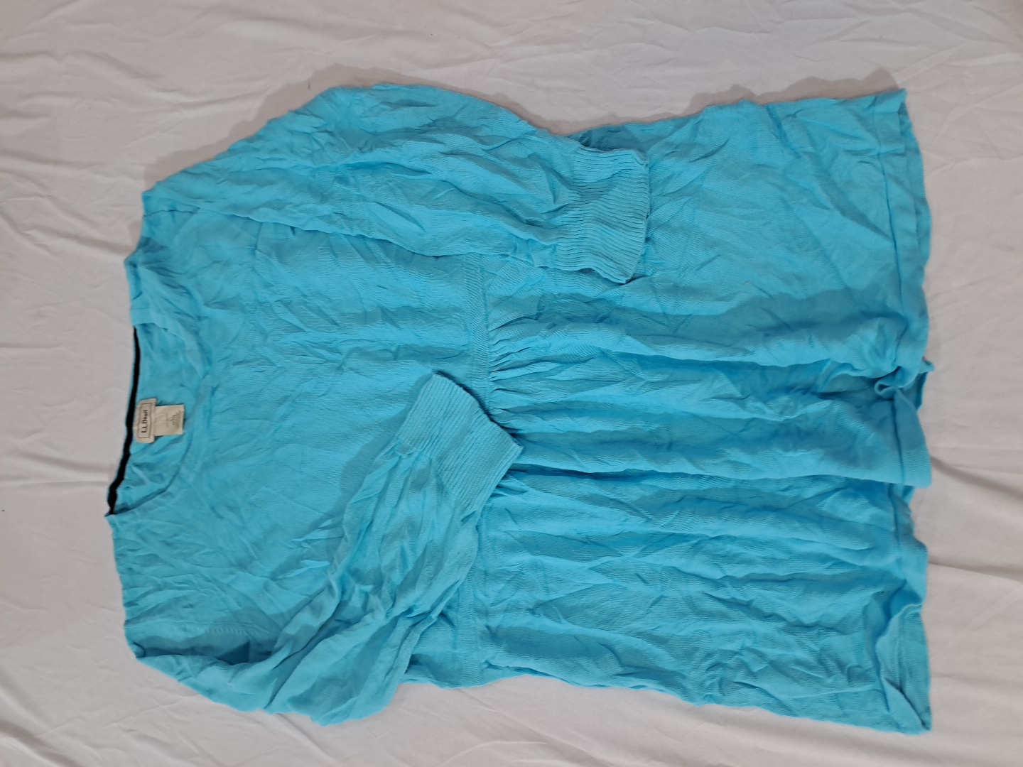 L.L.Bean Light Blue Cotton Long-Sleeve Blouse