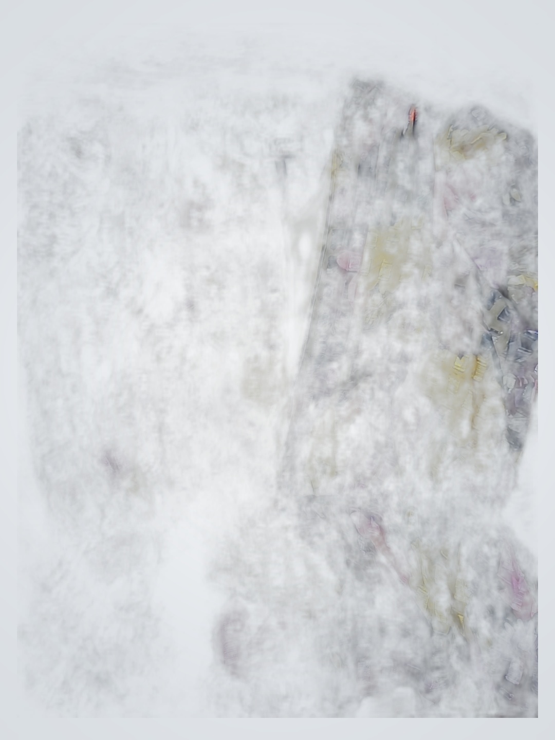 Hopfner Floral Blouse