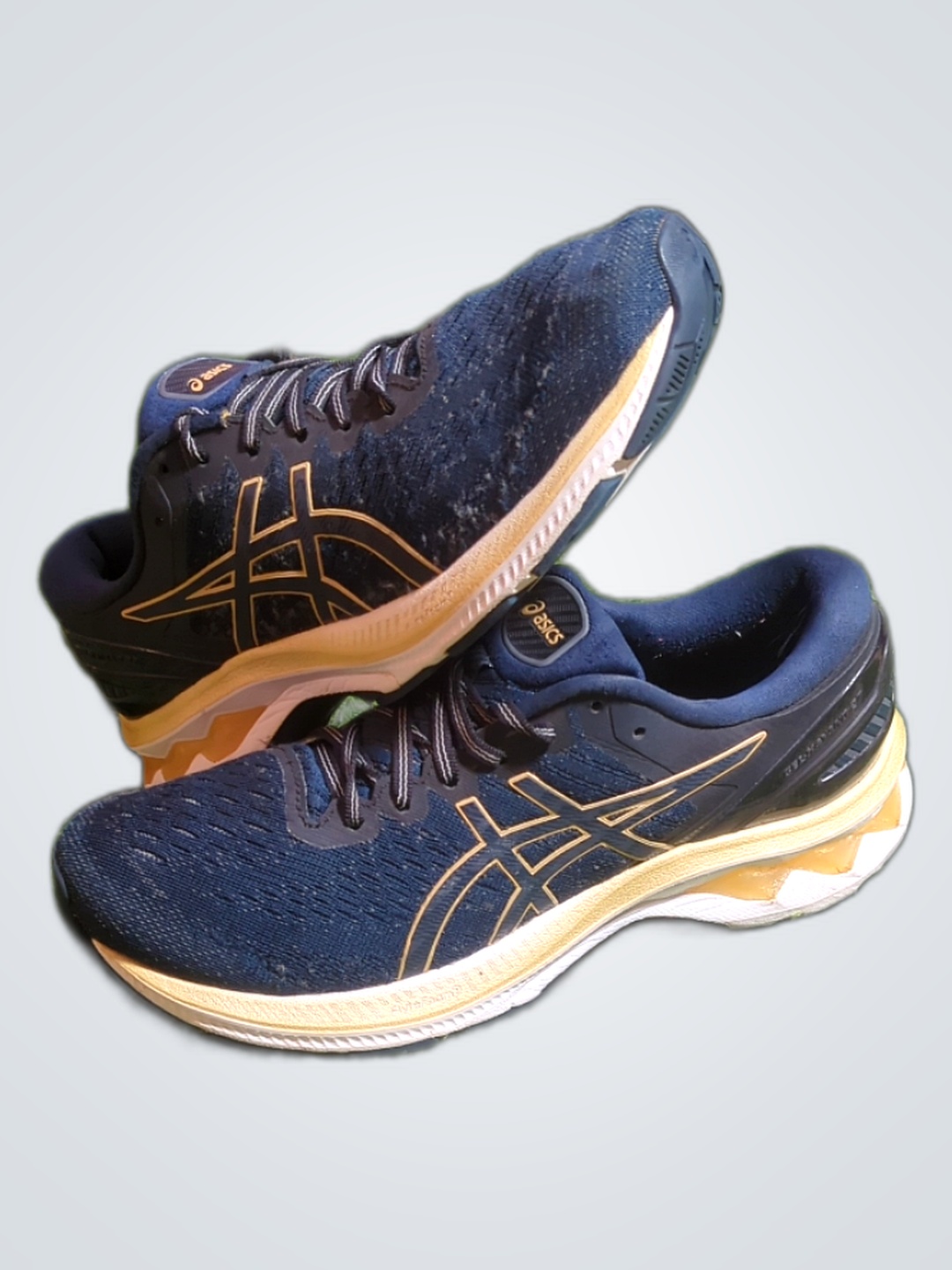 Asics Running Shoes