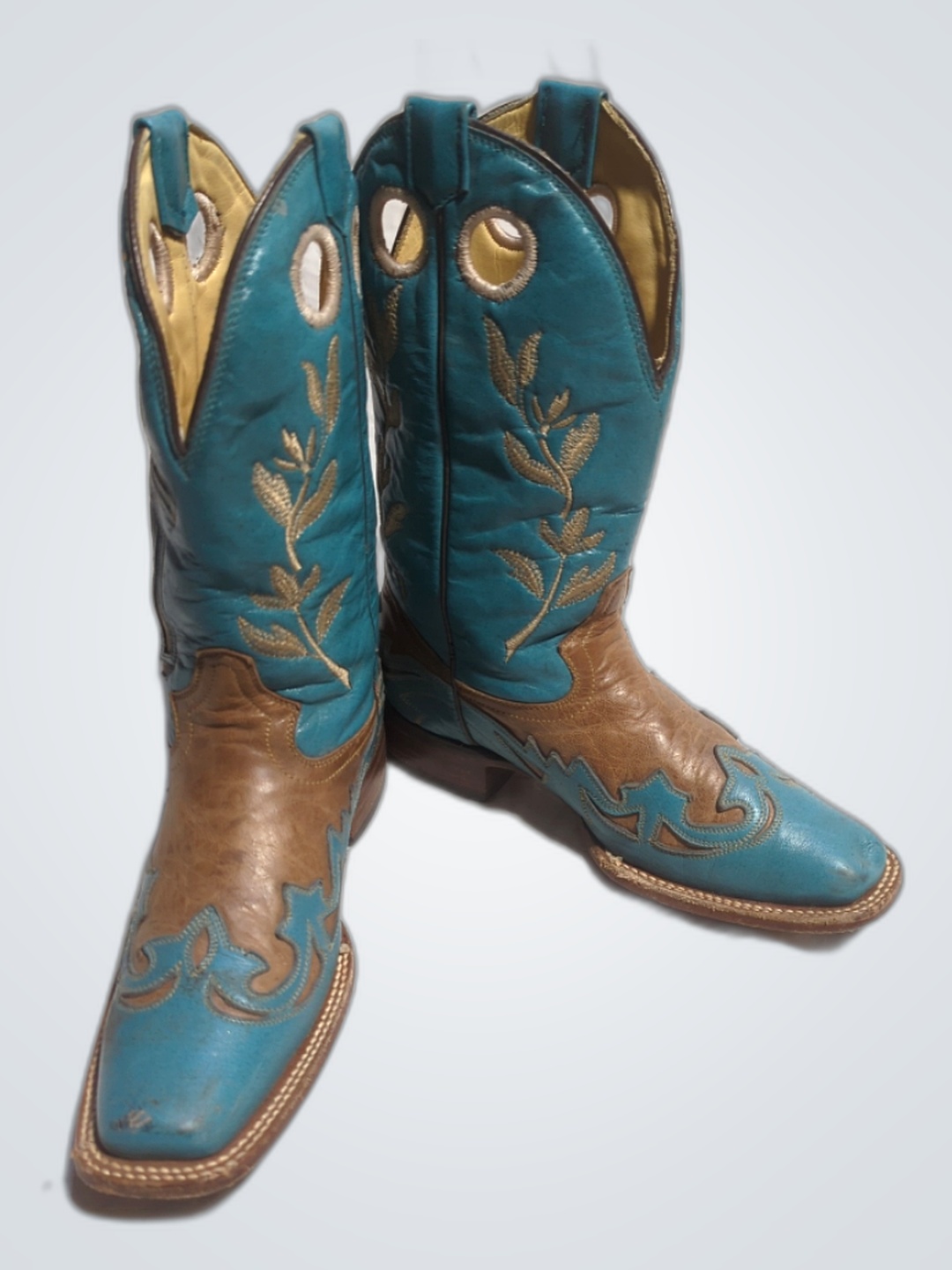 Blue and Brown Cowboy Boots