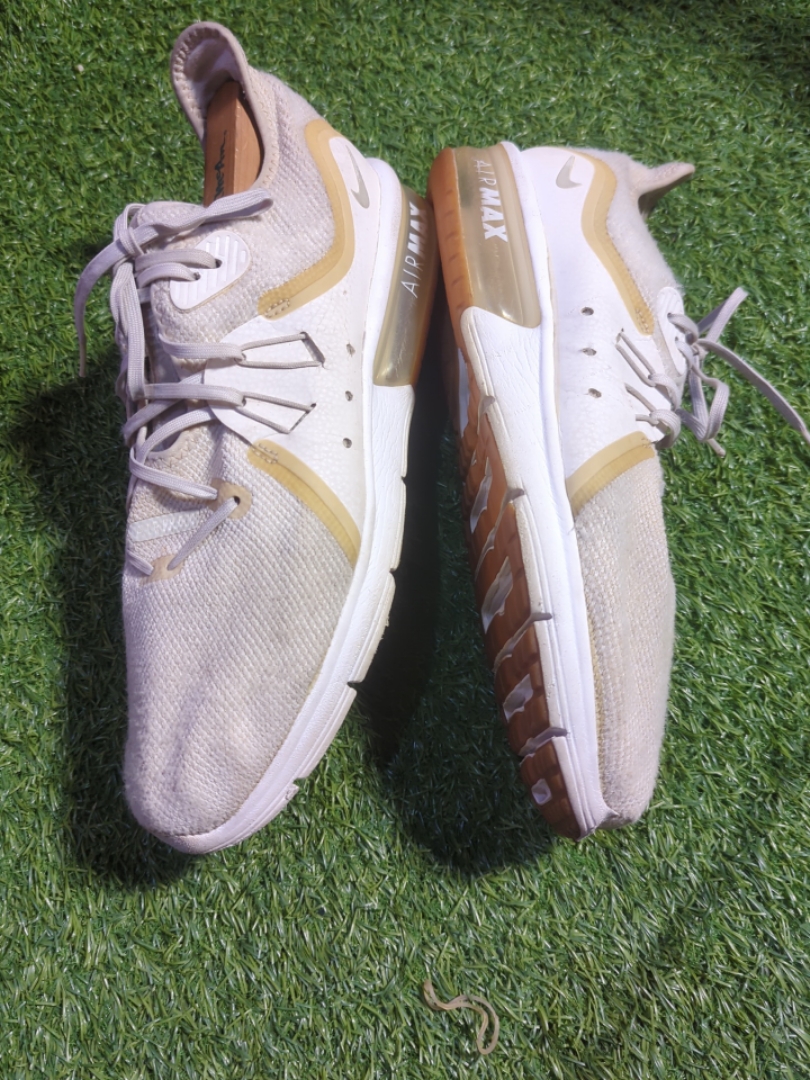 Nike Air Max Sneakers