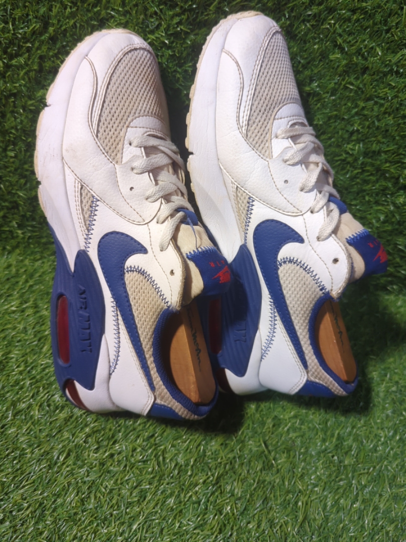 Nike Air Max sneakers