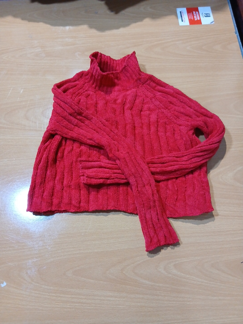 American Eagle Red Turtleneck Knit Sweater