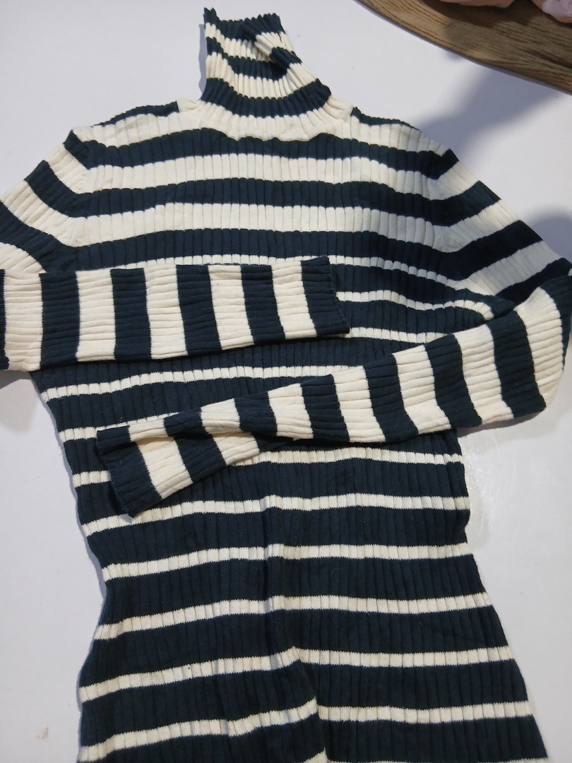 Striped Turtleneck Knit Top