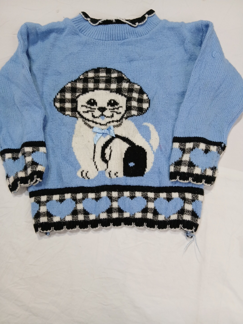 Pull en maille bleu avec graphique de chien