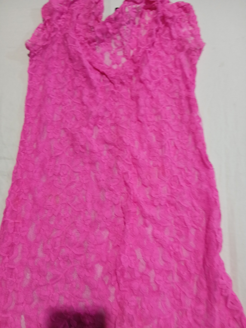 Vanity Pink Sheer Lace Blouse