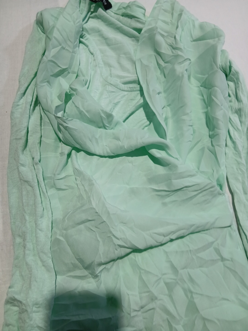 Bebe Sheer Green Blouse