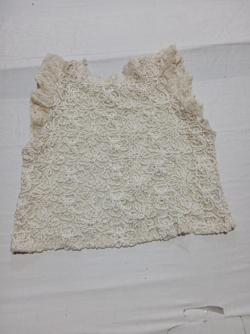 Zara Sheer Lace Blouse