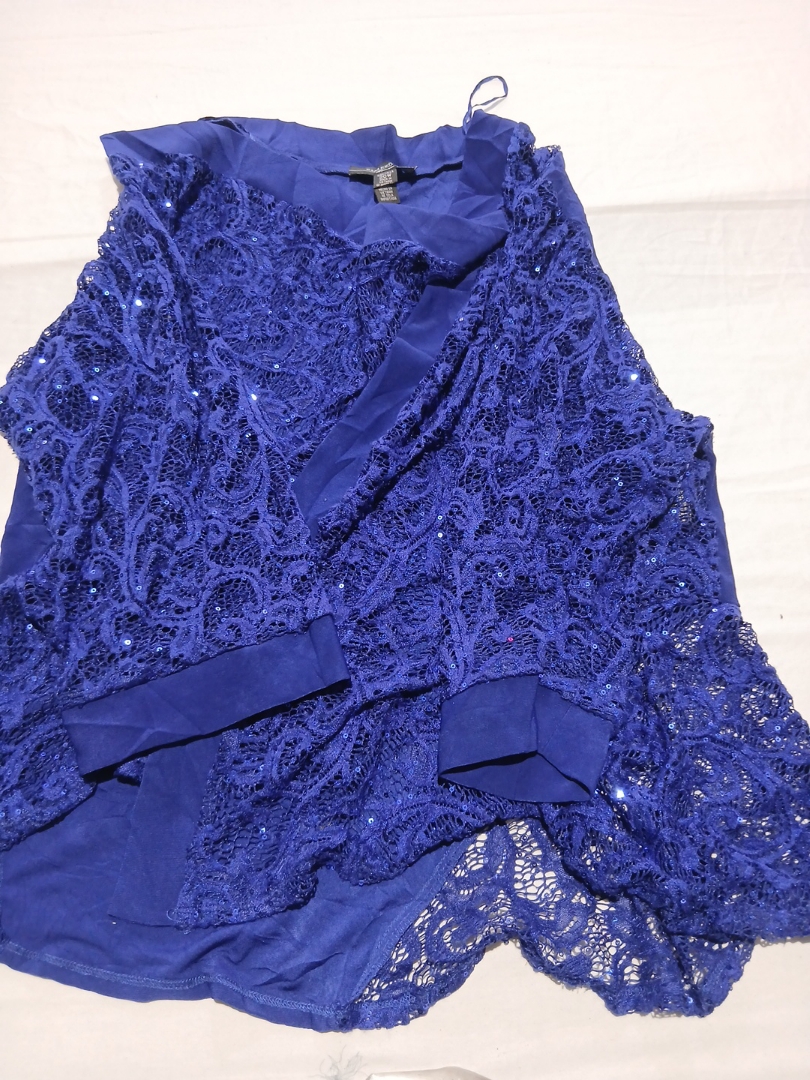 Rampal Blue Sheer Lace Blouse