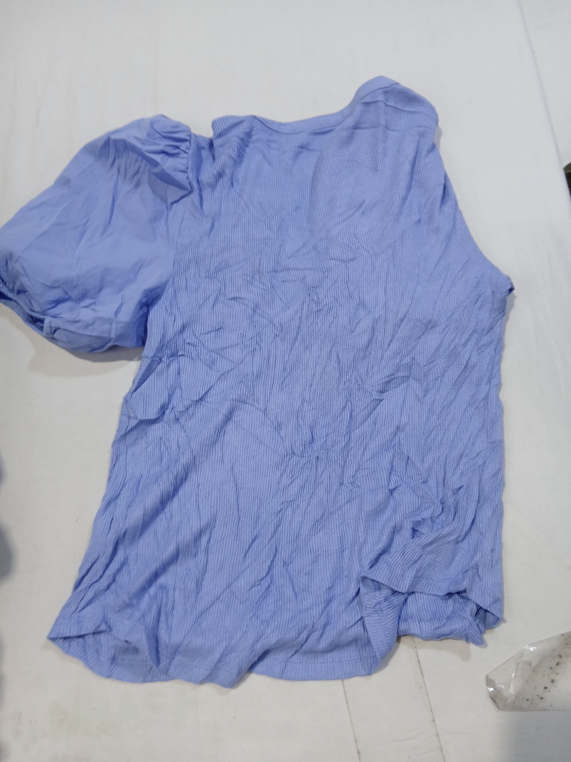 Light Blue Sheer Blouse