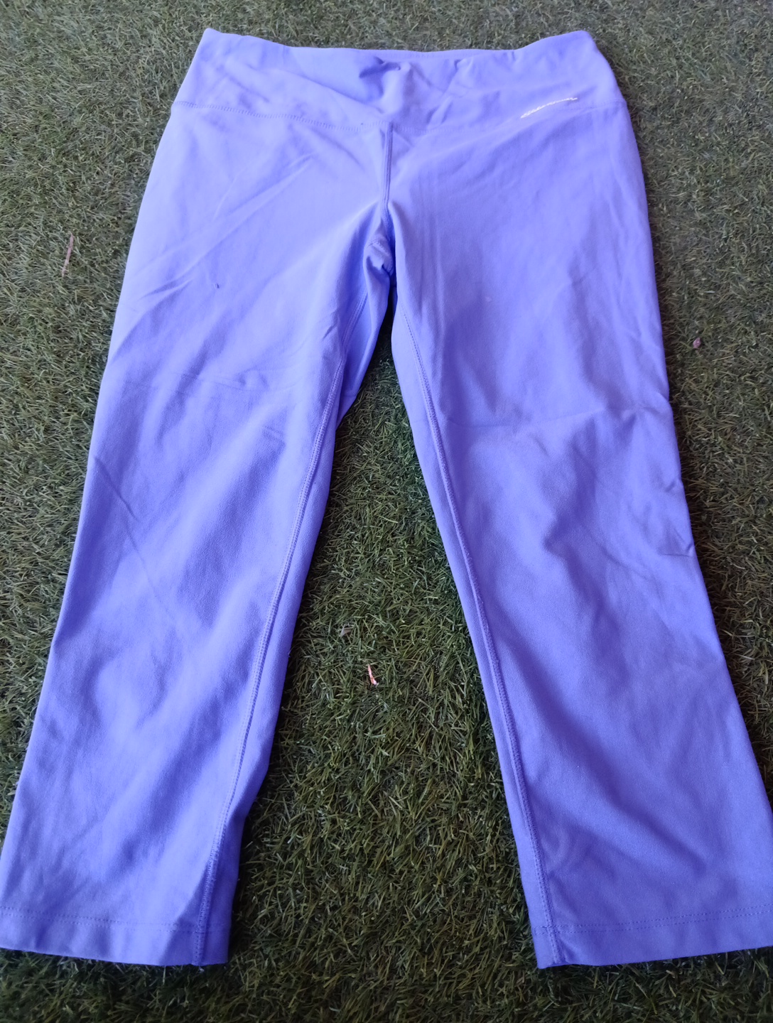 Eddie Bauer Women's Purple Pants