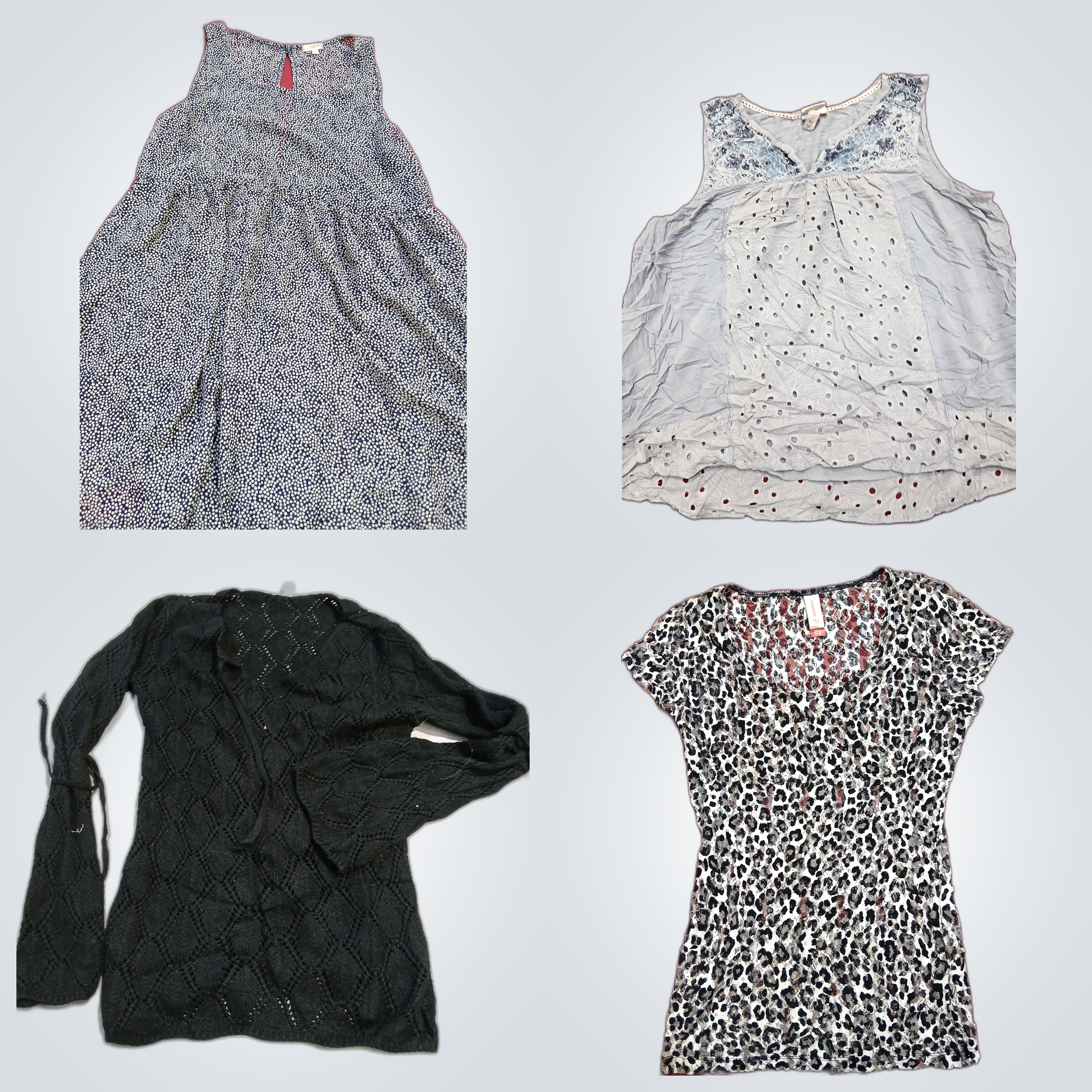 Lily White, Knox Rose & Mehr Bedruckte Blusen-Bund..