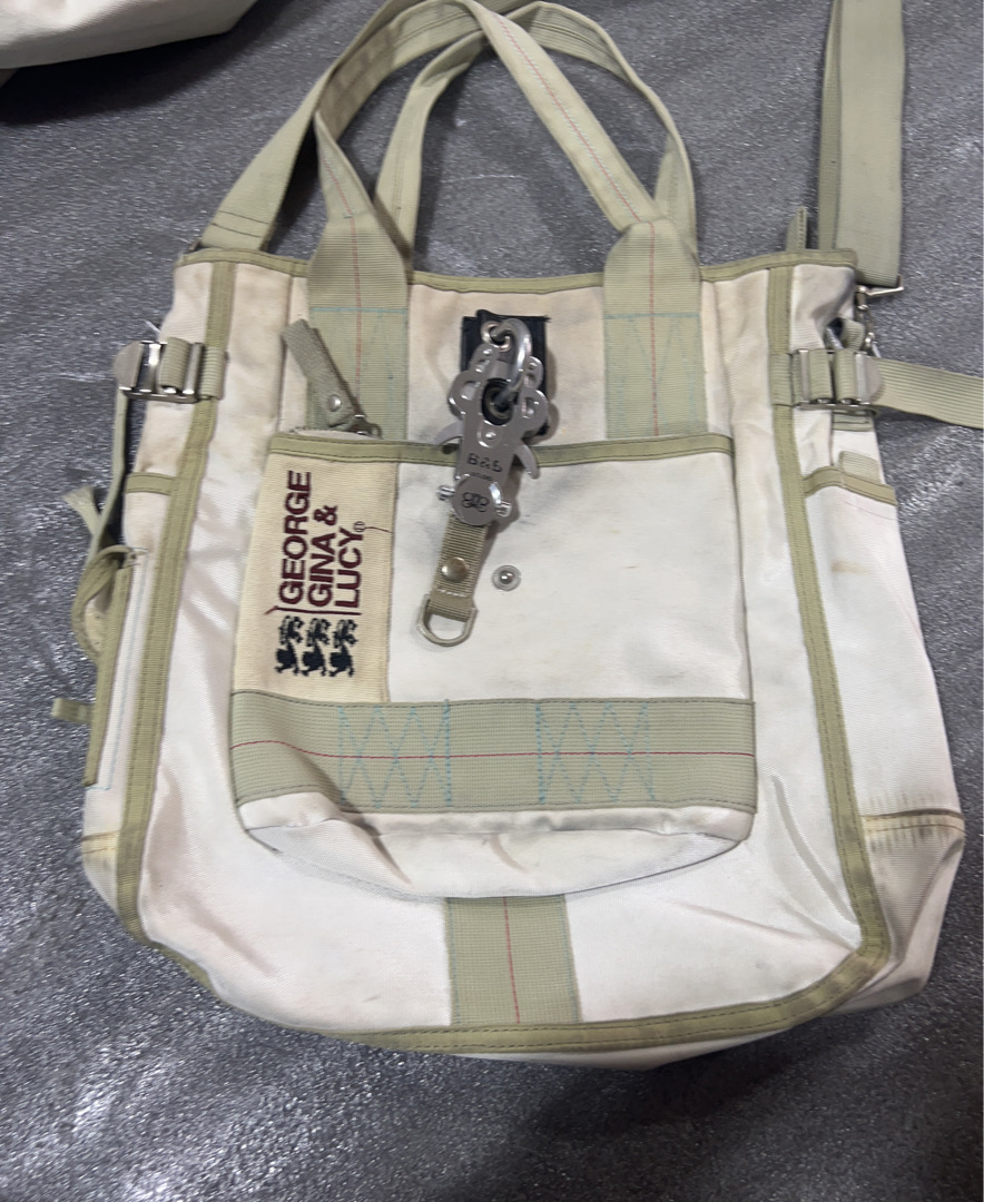 Gina Lucy Tote Handbag