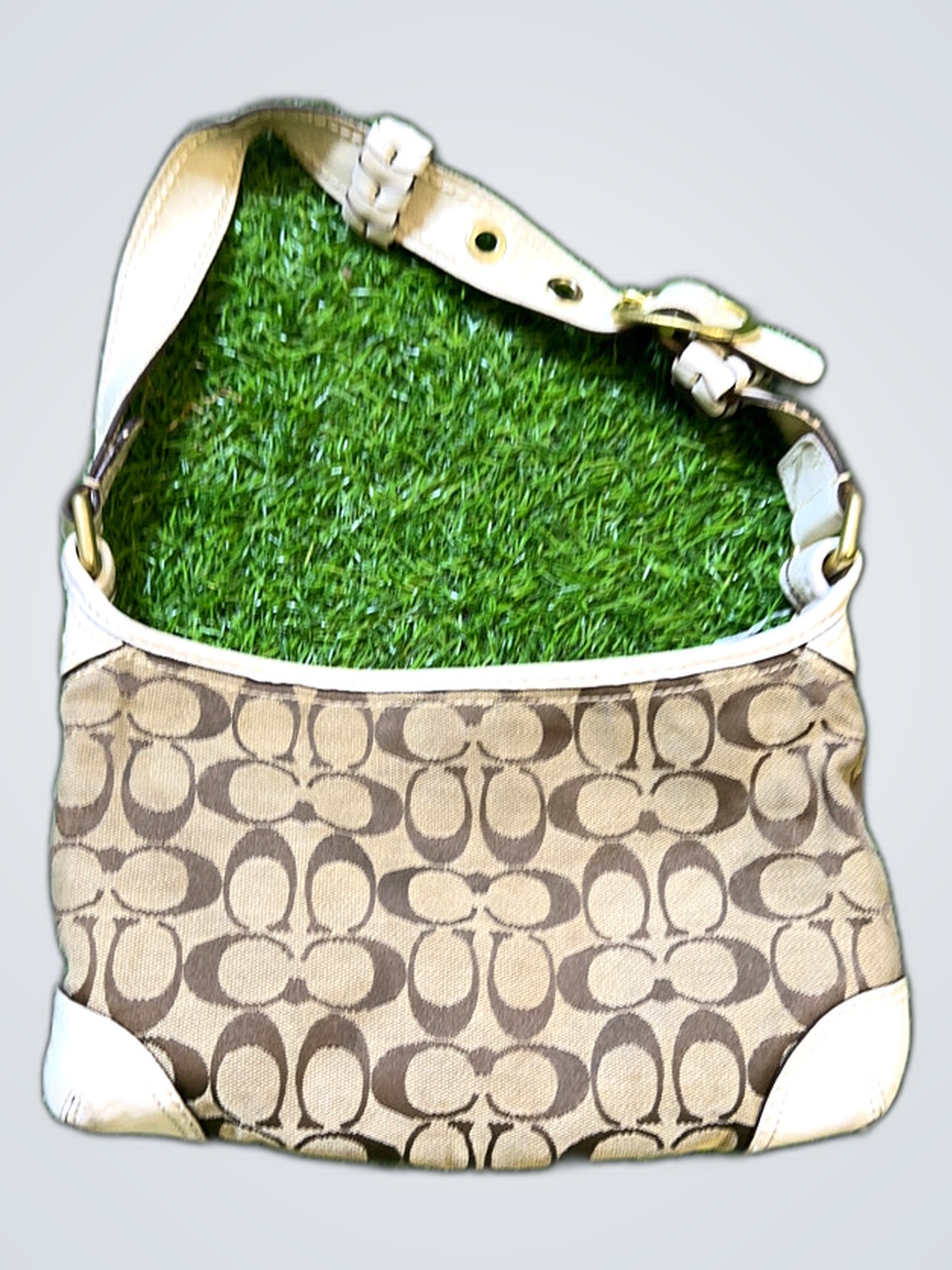 Coach Signature Purse