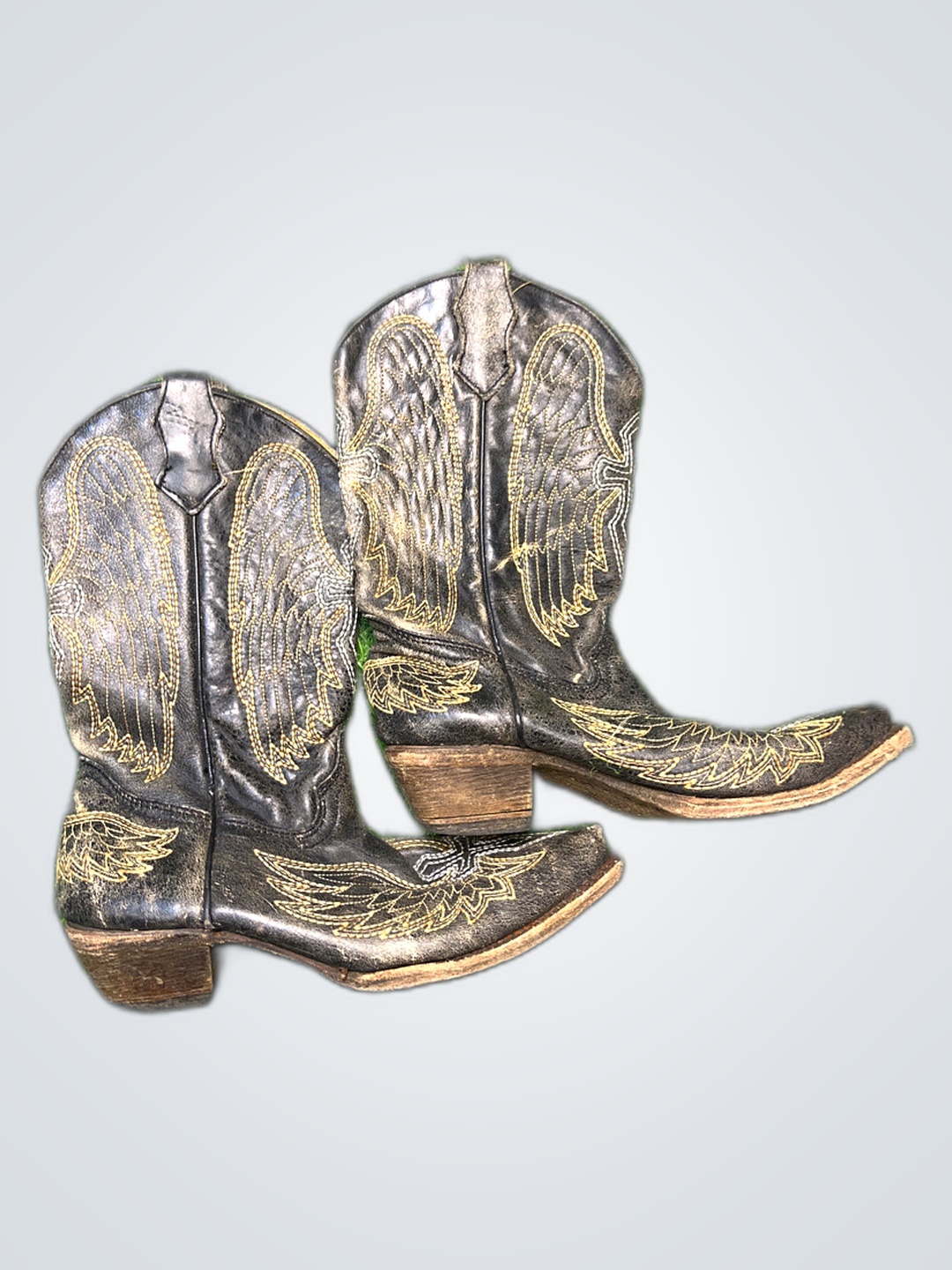 Corral Boots