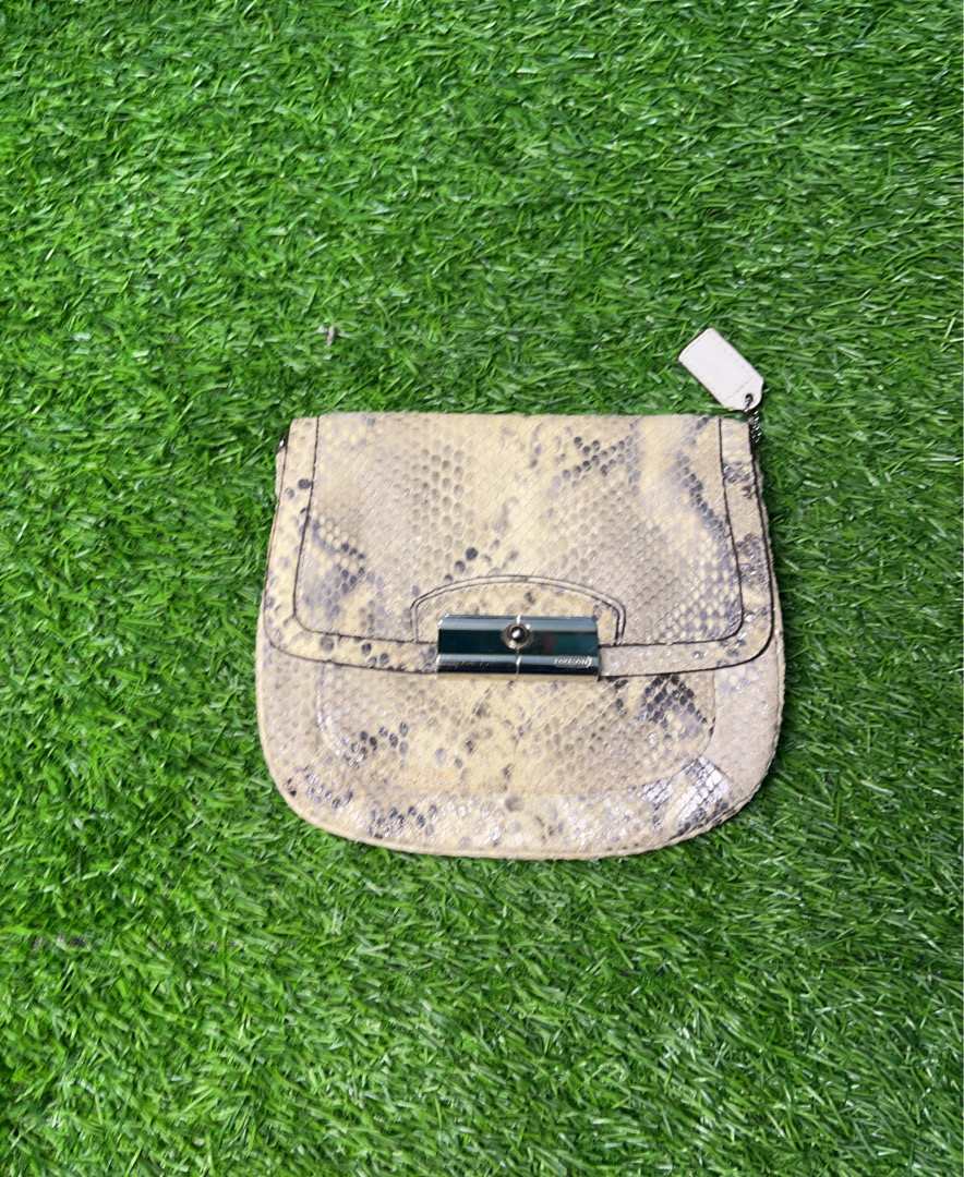 Snakeskin Crossbody Bag
