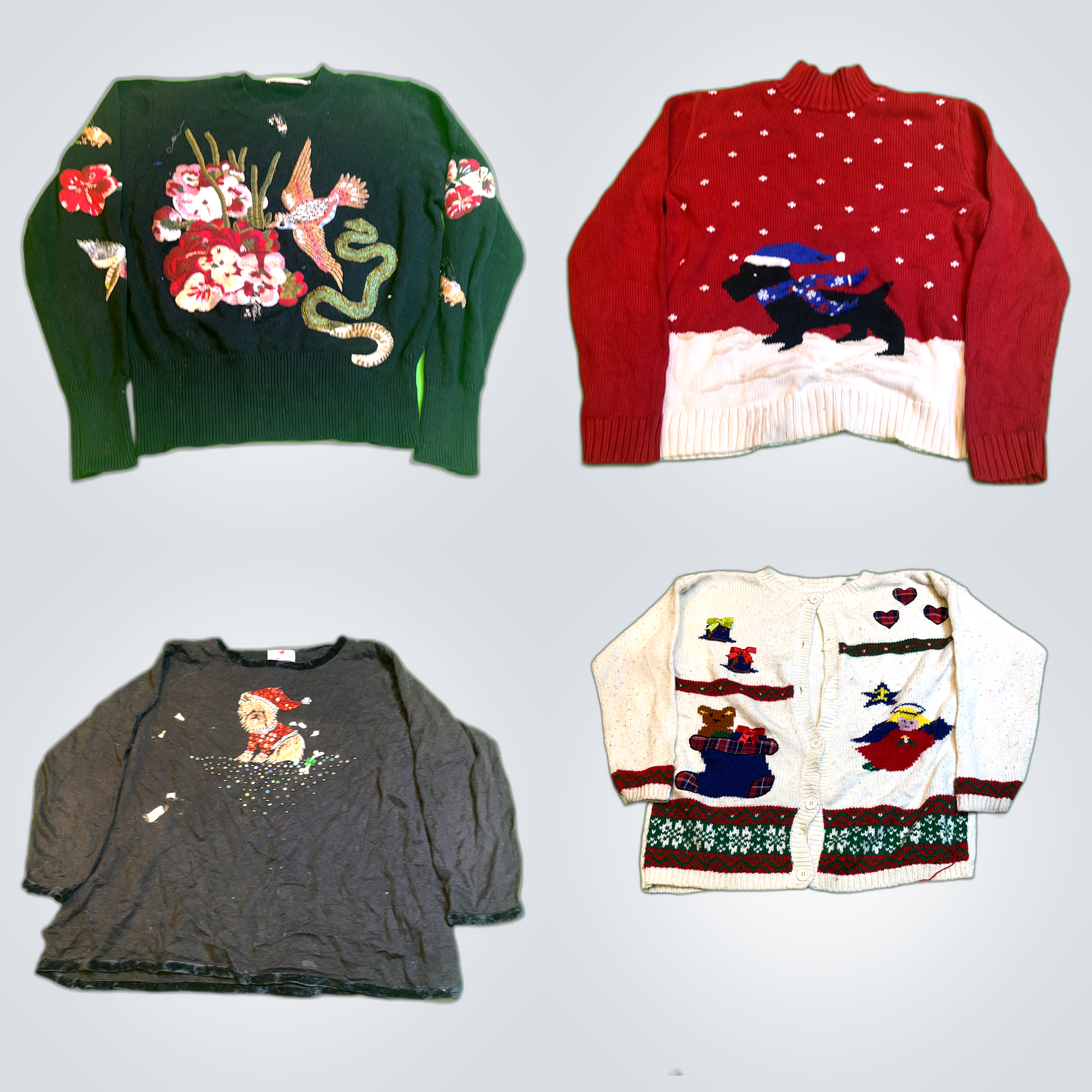 Meine Liebe zu Haustieren