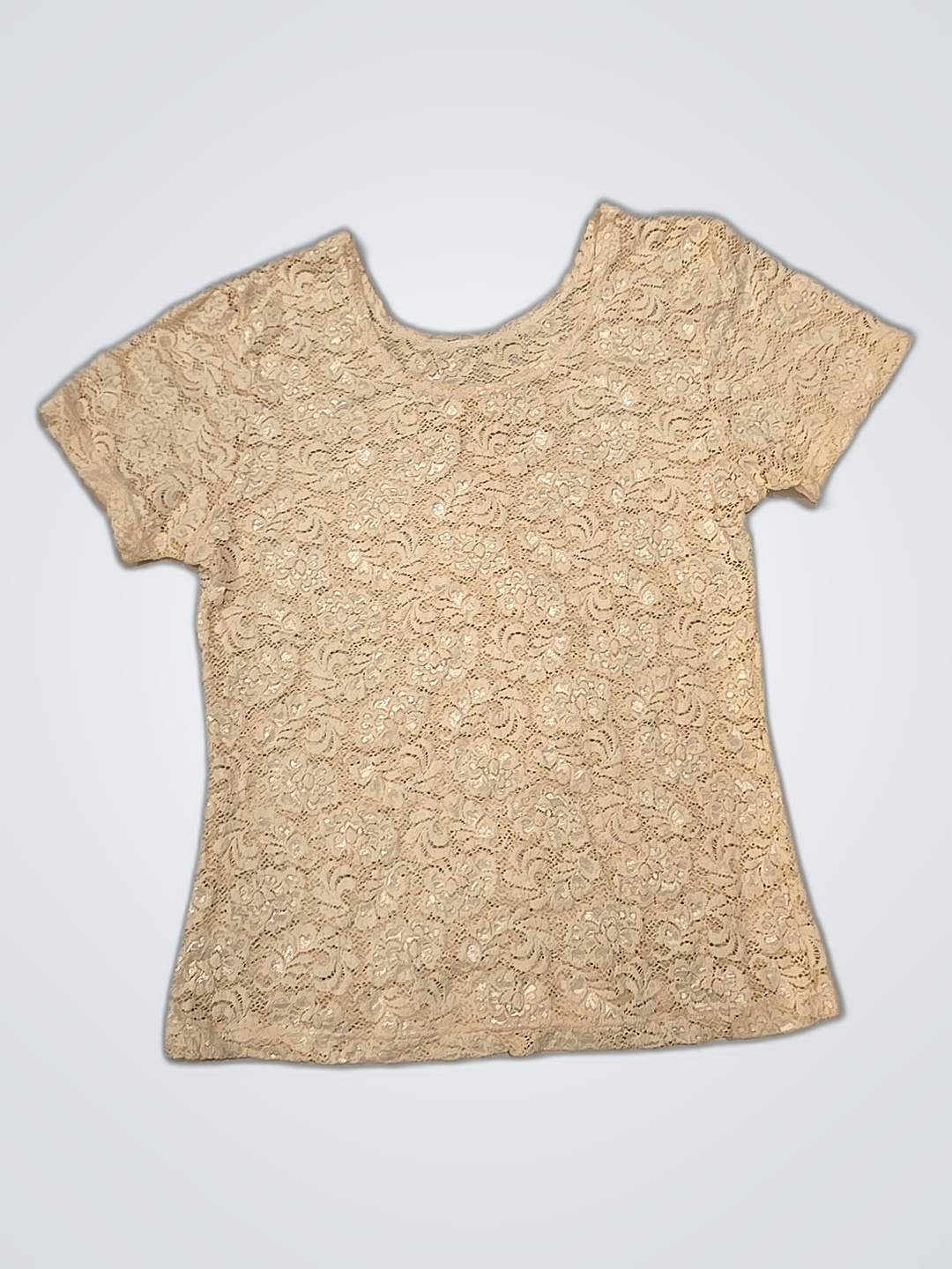 シアーレースブラウス