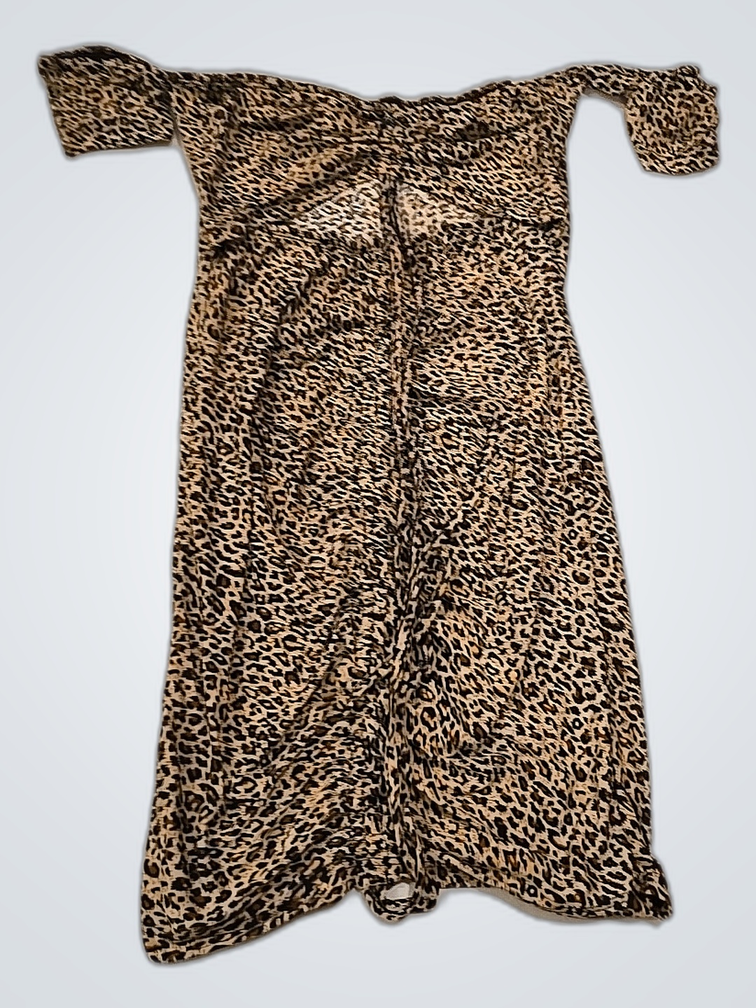 Leopard Print Strapless Mini Dress