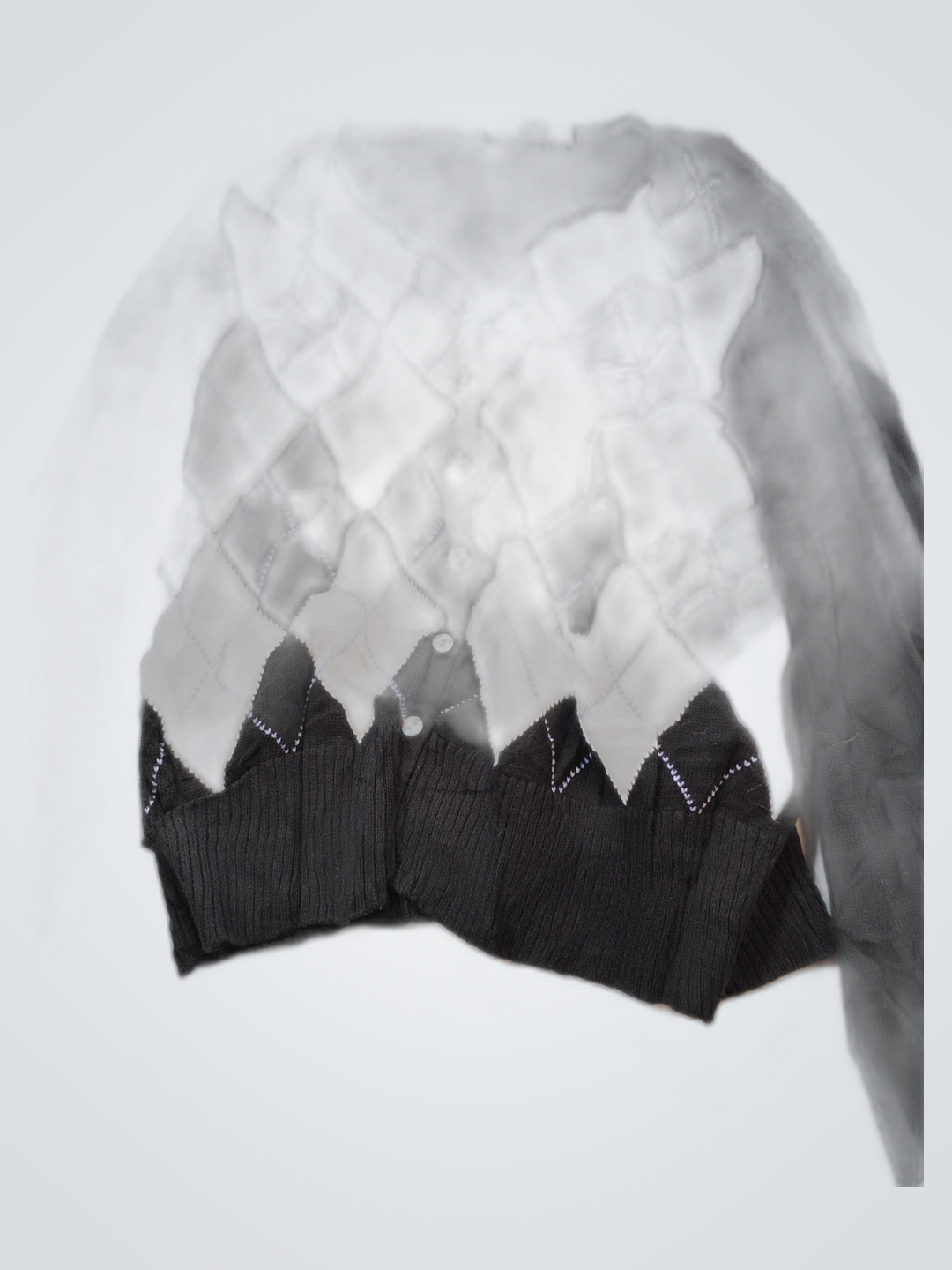 Argyle Pattern Sweater Vest