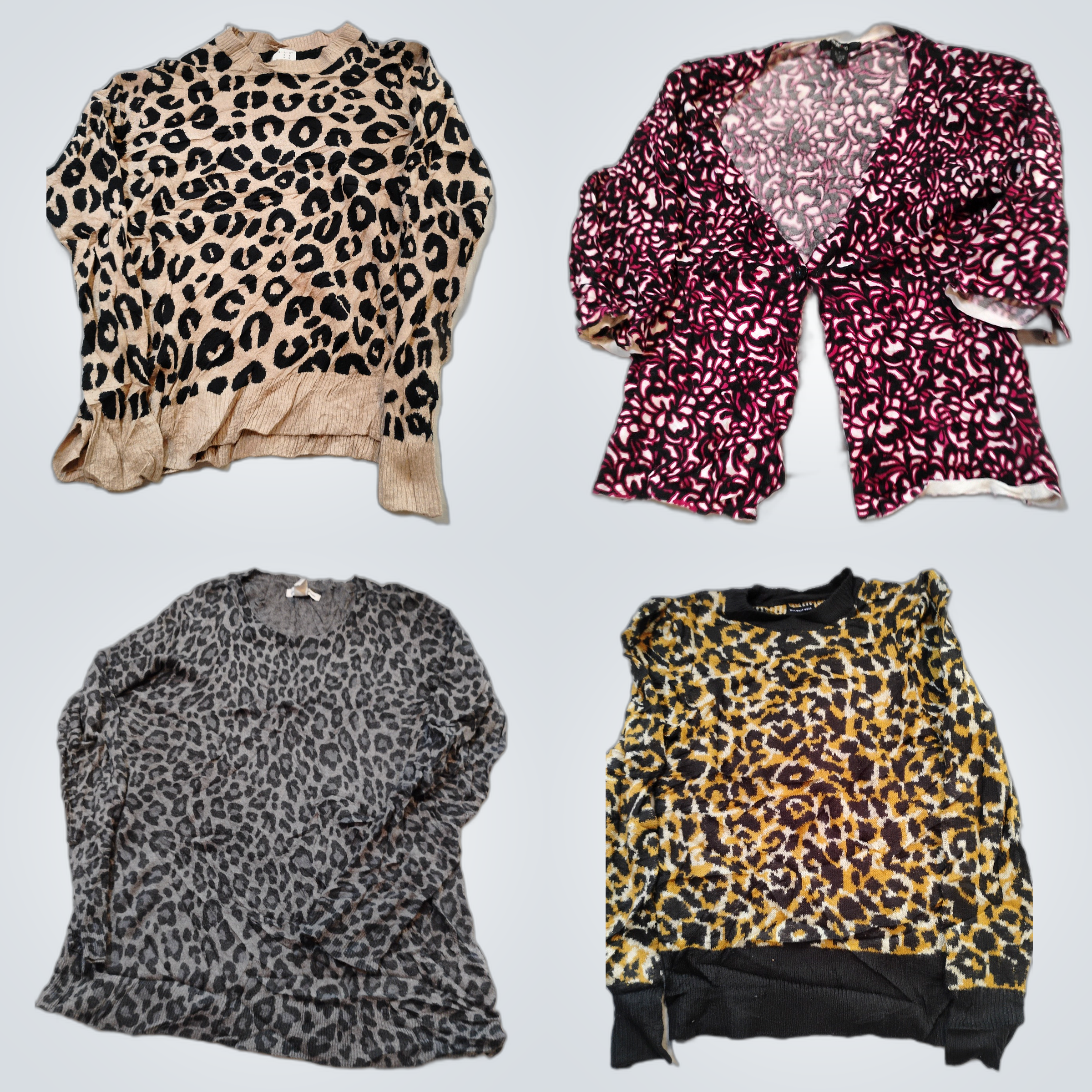 Leopard Luxe Bundle: A.N.D, Hollister, Vera Wang &..