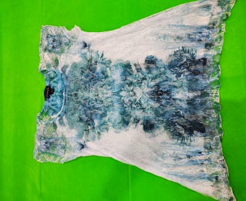 Blusa transparente impresa Frazzle